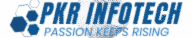 pkrinfotech.com